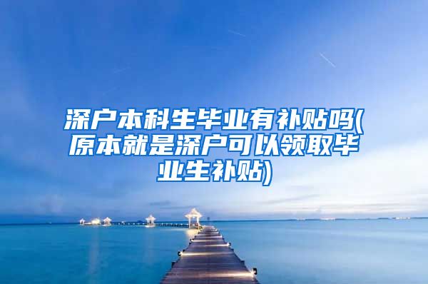 深户本科生毕业有补贴吗(原本就是深户可以领取毕业生补贴)