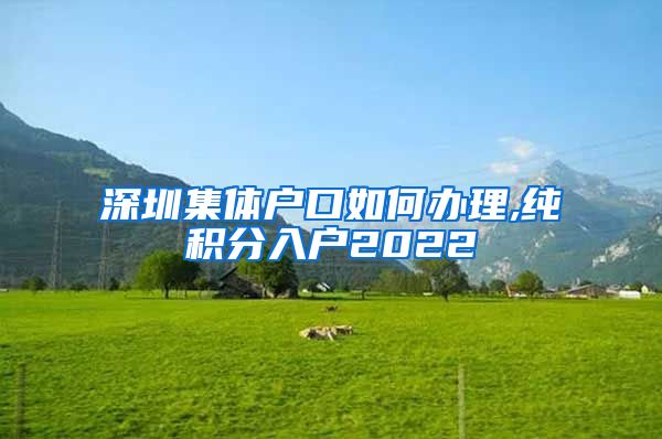 深圳集体户口如何办理,纯积分入户2022