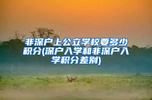非深户上公立学校要多少积分(深户入学和非深户入学积分差别)
