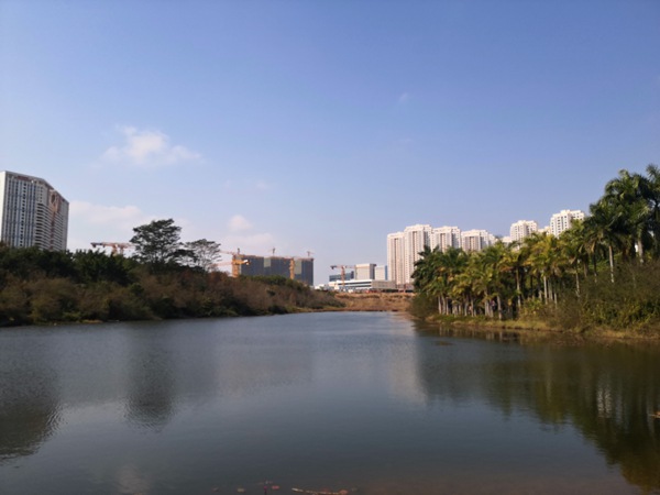 深圳积分入户申请表