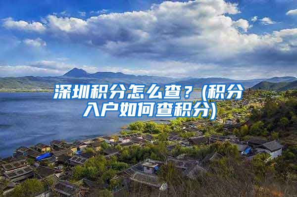 深圳积分怎么查？(积分入户如何查积分)