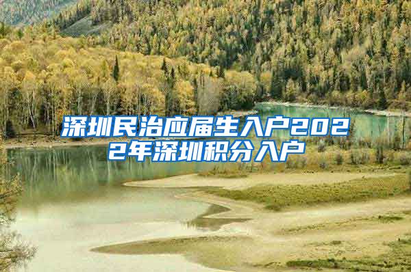 深圳民治应届生入户2022年深圳积分入户
