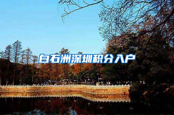 白石洲深圳积分入户