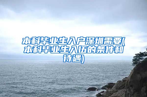 本科毕业生入户深圳需要(本科毕业生入伍的条件和待遇)