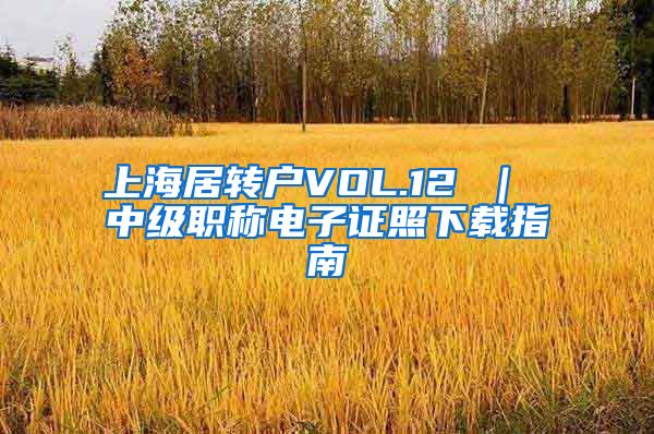 上海居转户VOL.12 ｜ 中级职称电子证照下载指南