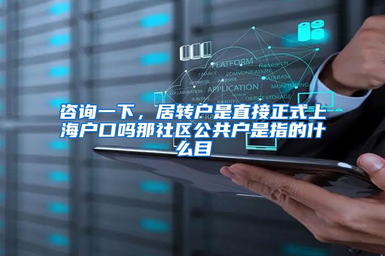 咨询一下，居转户是直接正式上海户口吗那社区公共户是指的什么目