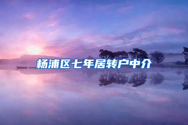 杨浦区七年居转户中介