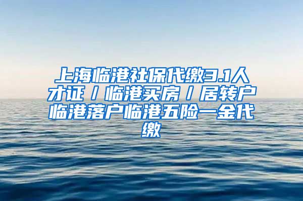 上海临港社保代缴3.1人才证／临港买房／居转户临港落户临港五险一金代缴