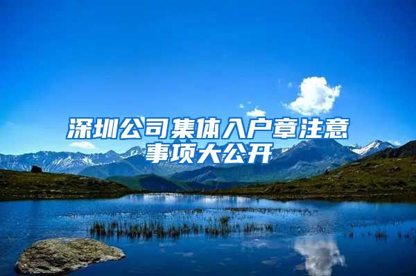 深圳公司集体入户章注意事项大公开