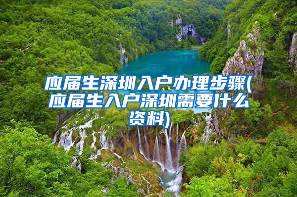 应届生深圳入户办理步骤(应届生入户深圳需要什么资料)