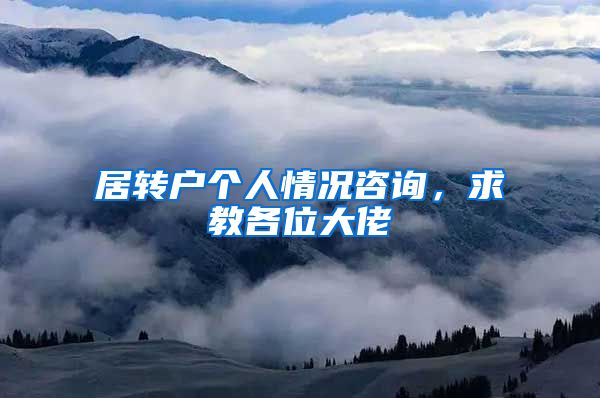 居转户个人情况咨询，求教各位大佬
