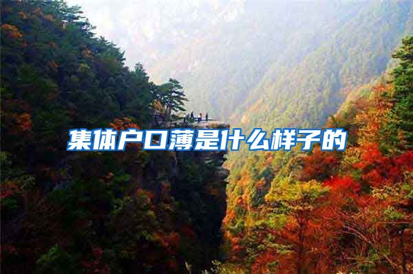 集体户口薄是什么样子的