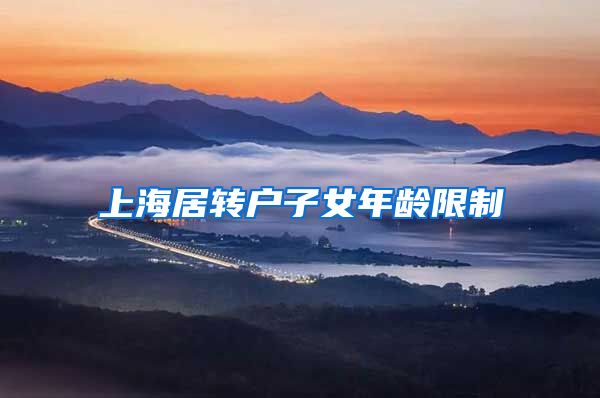 上海居转户子女年龄限制