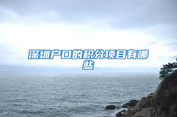 深圳户口的积分项目有哪些