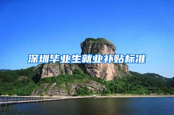 深圳毕业生就业补贴标准