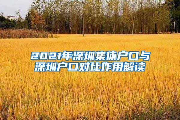 2021年深圳集体户口与深圳户口对比作用解读
