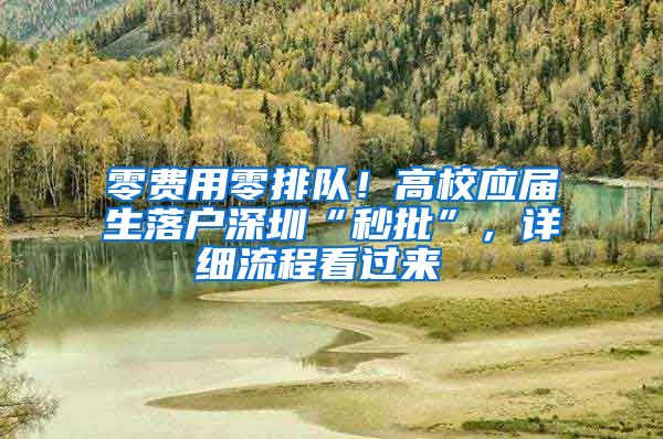 零费用零排队！高校应届生落户深圳“秒批”，详细流程看过来 ↑