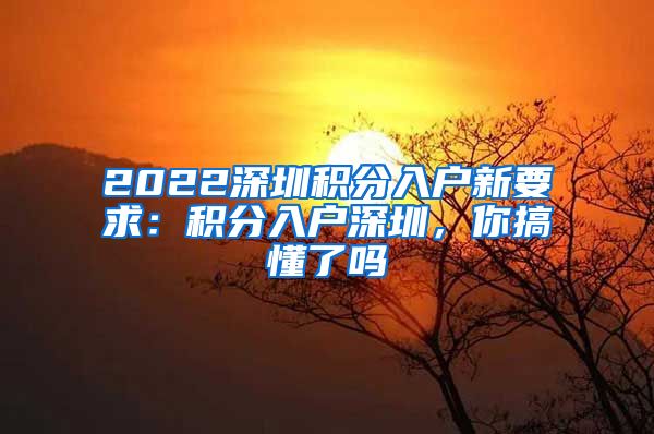 2022深圳积分入户新要求：积分入户深圳，你搞懂了吗
