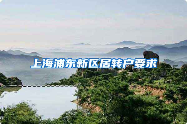 上海浦东新区居转户要求