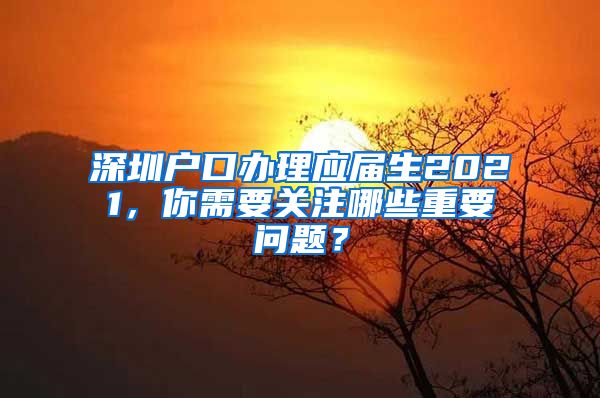 深圳户口办理应届生2021，你需要关注哪些重要问题？