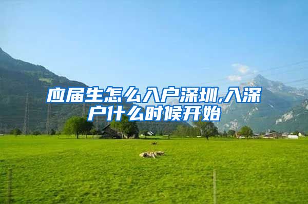 应届生怎么入户深圳,入深户什么时候开始