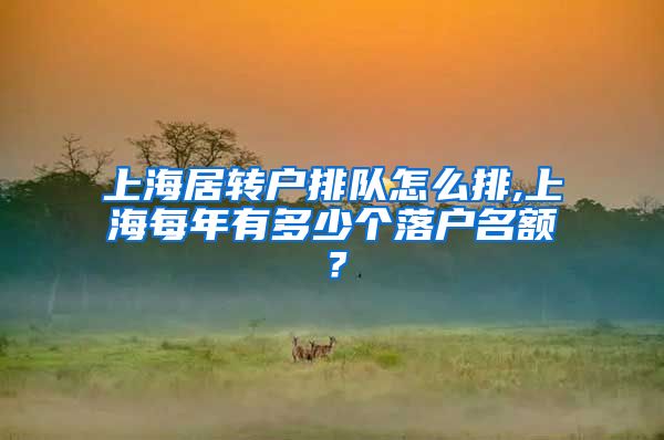 上海居转户排队怎么排,上海每年有多少个落户名额？