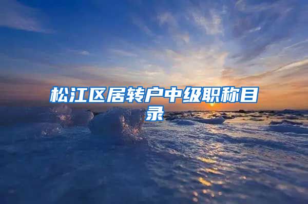松江区居转户中级职称目录