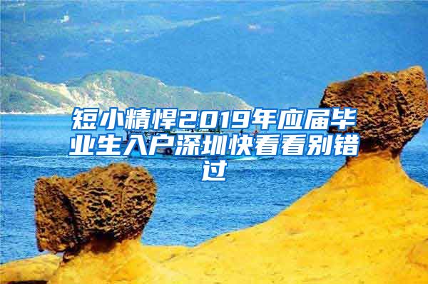 短小精悍2019年应届毕业生入户深圳快看看别错过
