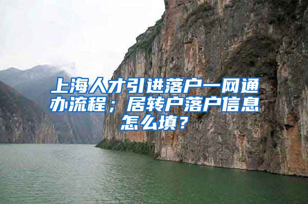 上海人才引进落户一网通办流程；居转户落户信息怎么填？