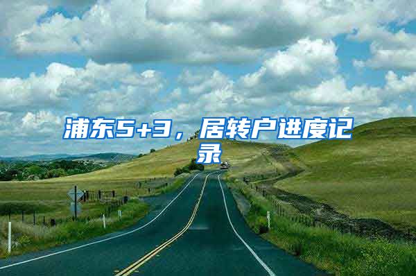 浦东5+3，居转户进度记录