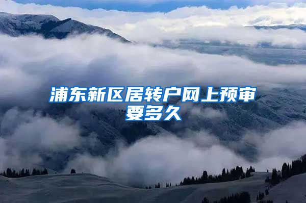 浦东新区居转户网上预审要多久