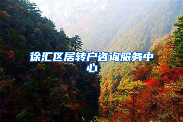 徐汇区居转户咨询服务中心