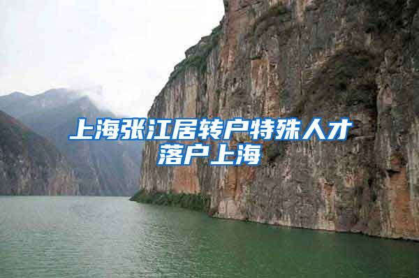 上海张江居转户特殊人才落户上海