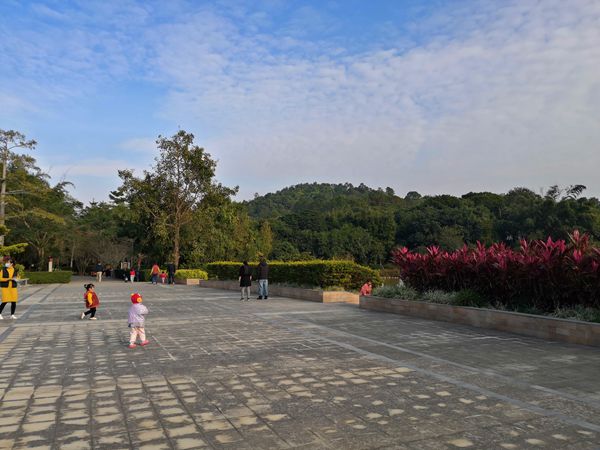 深圳市集体户户口本扉页