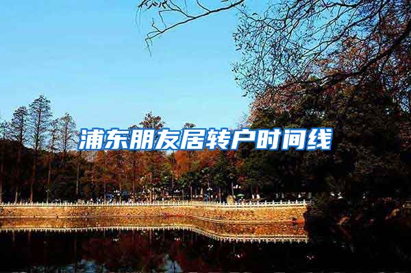 浦东朋友居转户时间线
