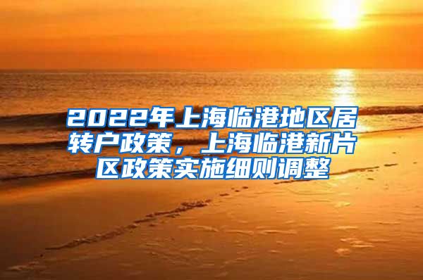 2022年上海临港地区居转户政策，上海临港新片区政策实施细则调整