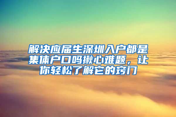 解决应届生深圳入户都是集体户口吗揪心难题，让你轻松了解它的窍门