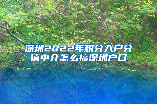 深圳2022年积分入户分值中介怎么搞深圳户口