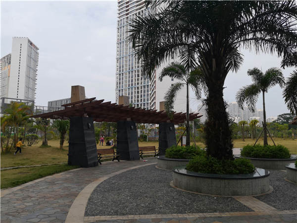 2021年深圳集体户口小孩上学