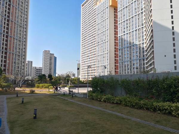 应届生深圳入户都是集体户口吗