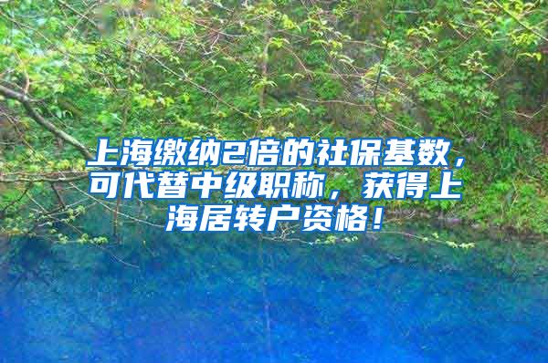 上海缴纳2倍的社保基数，可代替中级职称，获得上海居转户资格！