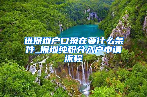 进深圳户口现在要什么条件_深圳纯积分入户申请流程