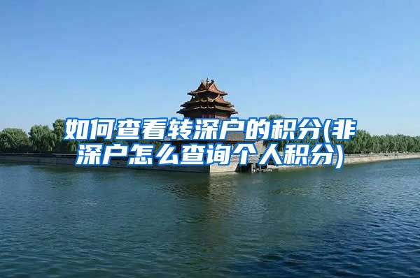 如何查看转深户的积分(非深户怎么查询个人积分)