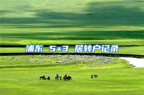 浦东 5+3 居转户记录
