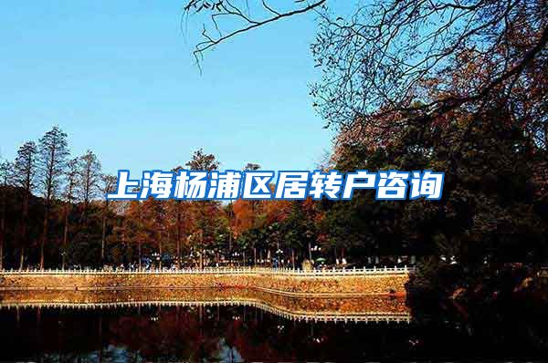 上海杨浦区居转户咨询