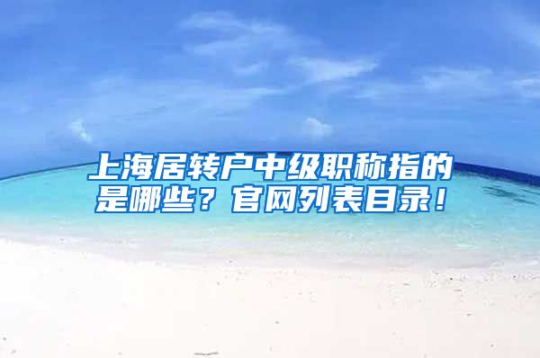 上海居转户中级职称指的是哪些？官网列表目录！