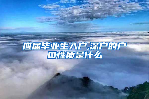 应届毕业生入户,深户的户口性质是什么