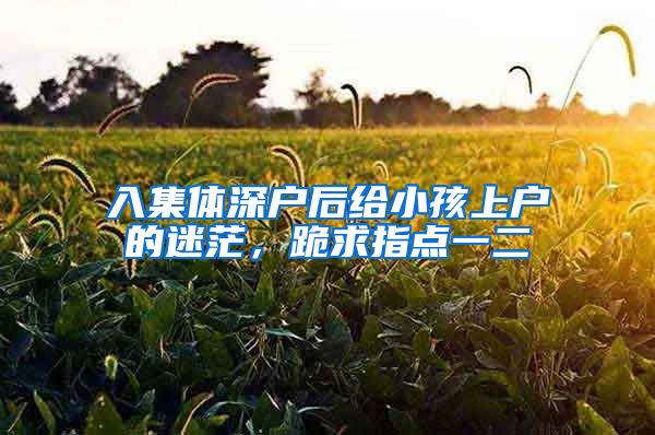 入集体深户后给小孩上户的迷茫，跪求指点一二