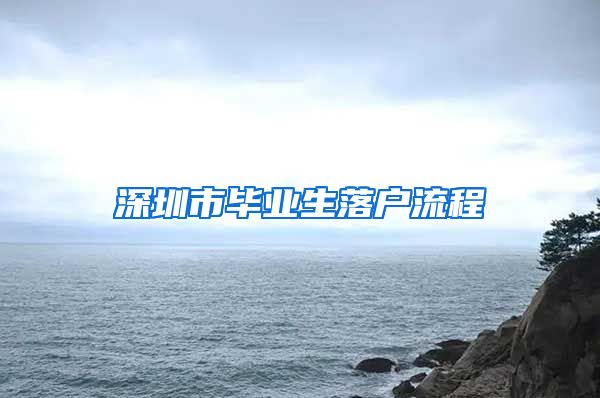 深圳市毕业生落户流程