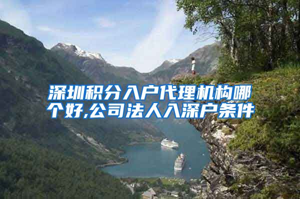 深圳积分入户代理机构哪个好,公司法人入深户条件